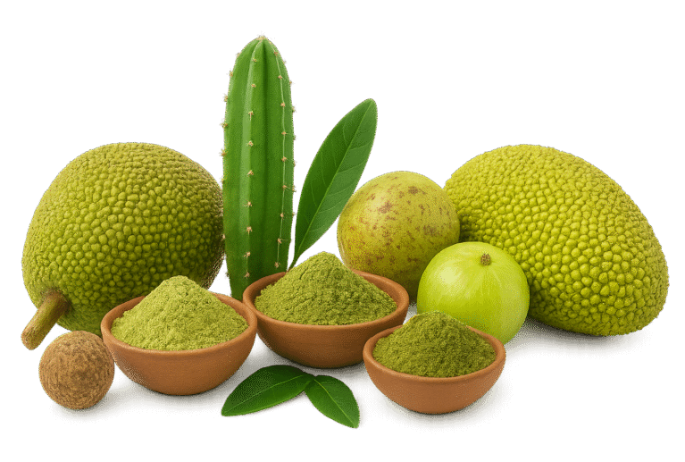 We grow fresh, organic produce using clean methods that protect nature, healthy food.