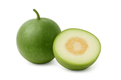 Ash Gourd