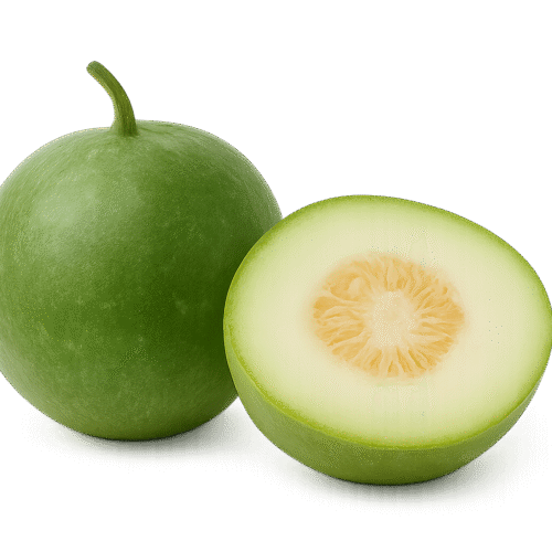 Ash Gourd