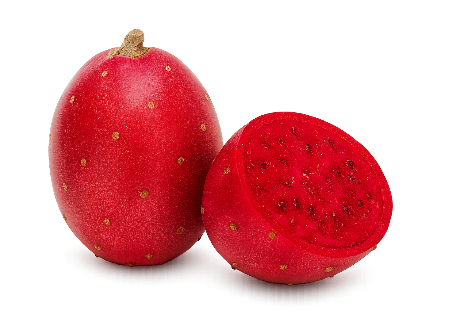 Cactus Red