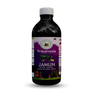 With added iron, magnesium, zinc, biotin, potassium, vitamin A, and vitamin C, the Neem Karela Jamun Amla Giloy Ras is a nutritional powerhouse. Buy Now